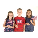 Handheld Mini U.S. Flags