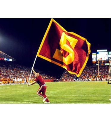 6'x8' Light-Weight School Spirit Flags - Single Face Reverse