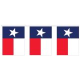 30' Mini Texas Flag Pennants