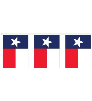 30' Mini Texas Flag Pennants