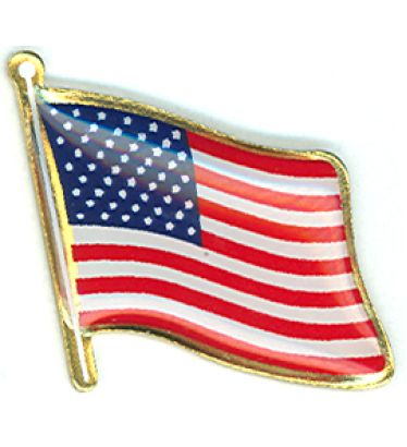 USA Wave Lapel Pin