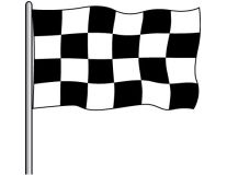 2'x3' Checkered Nylon Outdoor Flag