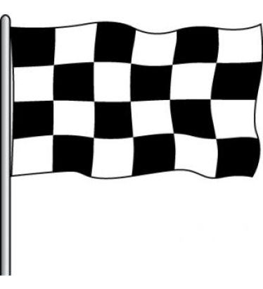 2'x3' Checkered Nylon Outdoor Flag