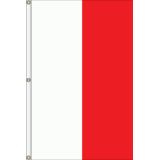 10'x3' 2-Stripe Vertical Attention Flags