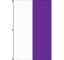 8'x3' 2-Stripe Vertical Attention Flags