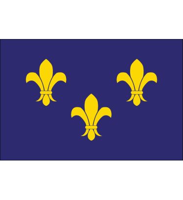 3'x5' Fleur-De-Lis (Blue-3) Nylon Outdoor Flags