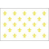 3'x5' Fleur-De-Lis (White-23) Nylon Outdoor Flags