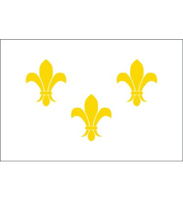 3'x5' Fleur-De-Lis (White-3) Nylon Outdoor Flags