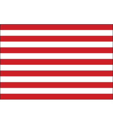 3'x5' Sons of Liberty Nylon Outdoor Flags