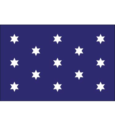 3'x5' Washington's Commander-In-Chief Nylon Outdoor Flags