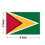 3'x5' Guyana Nylon Outdoor Flag