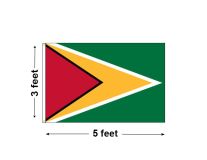 3'x5' Guyana Nylon Outdoor Flag