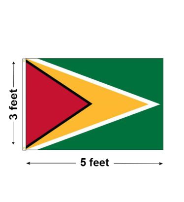 3'x5' Guyana Nylon Outdoor Flag