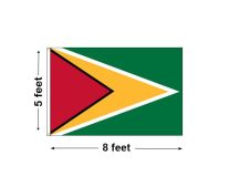 5'x8' Guyana Nylon Outdoor Flag