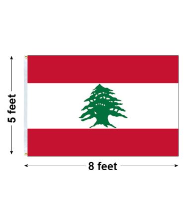 5'x8' Lebanon Nylon Outdoor Flag