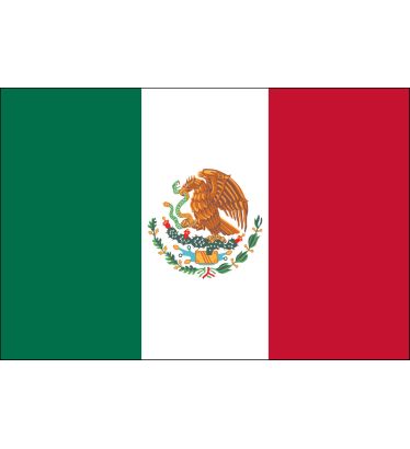 4" x 6" Hand-held Mini Mexico Flags - No Tip