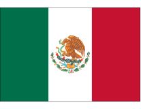 4" x 6" Hand-held Mini Mexico Flags - No Tip