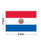 3'x5' Paraguay Nylon Outdoor Flag