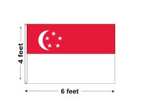 4'x6' Singapore Nylon Outdoor Flag