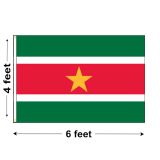 4'x6' Suriname Nylon Outdoor Flag