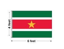 4'x6' Suriname Nylon Outdoor Flag