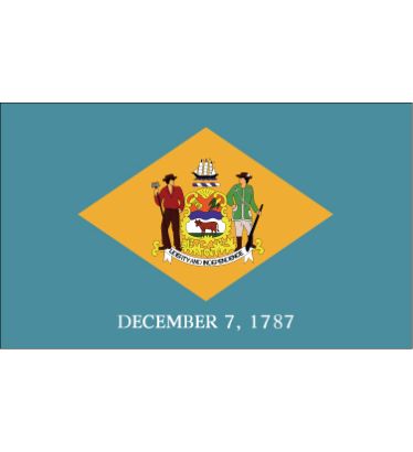 3'x5' Delaware Polyester Outdoor Flag