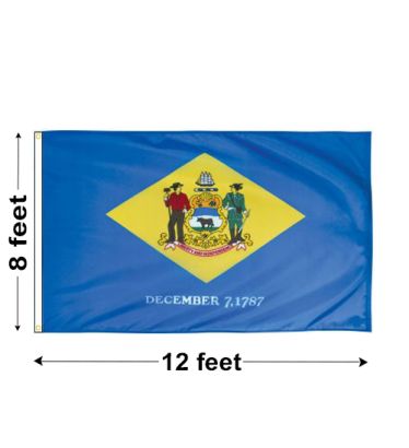 8'x12' Delaware Nylon Outdoor Flag