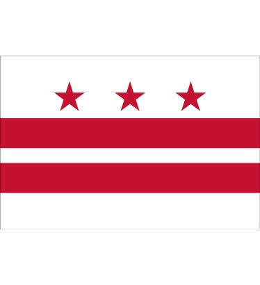 3'x5' Washington DC Nylon Outdoor Flag