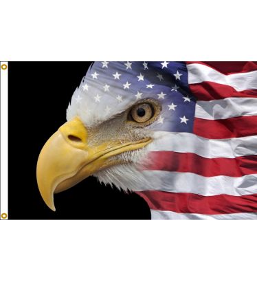 3'x5' US Flag Eagle Nylon Flag