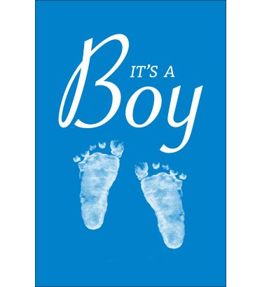 18"x12" It's A Boy Garden Flag