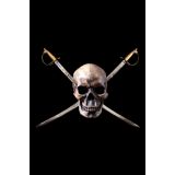 18"x12" Pirate Garden Flag