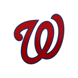 Washington Nationals Flags