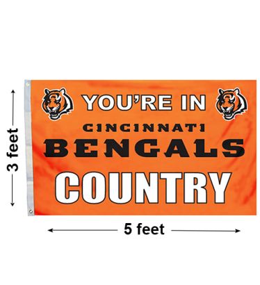 3'x5' Cincinnati Bengals Country Outdoor Flag