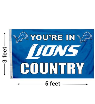 3'x5' Detroit Lions Country Outdoor Flag